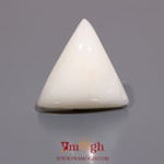White Coral - 14.05 Carat