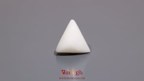 White Coral - 8.5 Carat