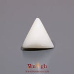 White Coral - 8.5 Carat