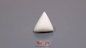 White Coral - 8.55 Carat