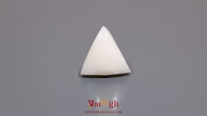 White Coral - 9.25 Carat