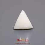 White Coral - 9.25 Carat