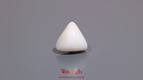 White Coral - 7.45 Carat
