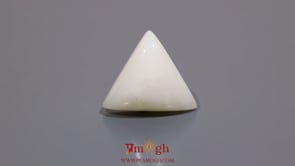 White Coral - 13.9 Carat