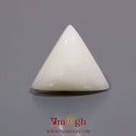 White Coral - 13.9 Carat