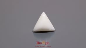 White Coral - 8.55 Carat