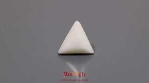 White Coral - 6.85 Carat