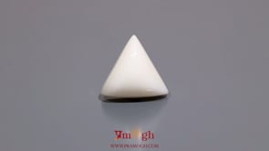 White Coral - 8.2 Carat