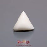 White Coral - 8.2 Carat