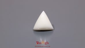 White Coral - 6.7 Carat