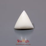 White Coral - 6.7 Carat
