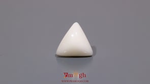 White Coral - 5.4 Carat