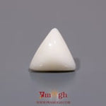 White Coral - 5.4 Carat