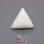 White Coral - 8.5 Carat