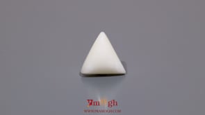 White Coral - 6.2 Carat