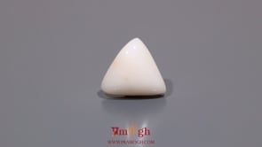White Coral - 7.7 Carat