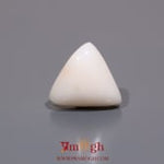White Coral - 7.7 Carat