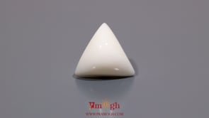 White Coral - 12.35 Carat