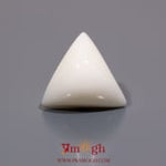 White Coral - 12.35 Carat