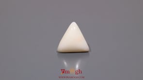 White Coral - 4.5 Carat