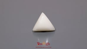White Coral - 7.75 Carat