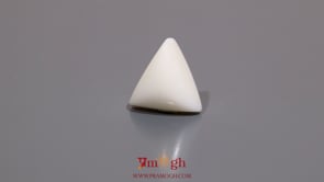 White Coral - 8.3 Carat