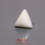 White Coral - 8.3 Carat
