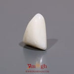 White Coral - 7.05 Carat