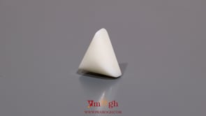 White Coral - 4.9 Carat
