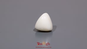 White Coral - 5.85 Carat
