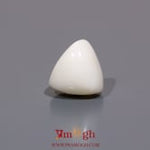 White Coral - 5.85 Carat