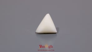 White Coral - 4.8 Carat