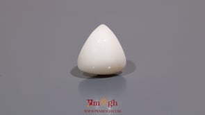 White Coral - 7.6 Carat