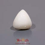 White Coral - 7.6 Carat