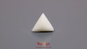 White Coral - 7.1 Carat