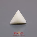White Coral - 7.1 Carat