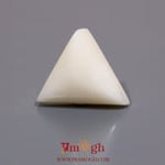 White Coral - 12.15 Carat