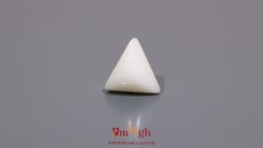 White Coral - 6.05 Carat