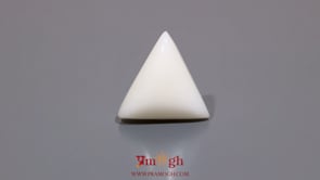 White Coral - 12.05 Carat
