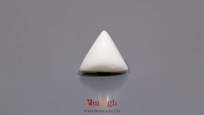 White Coral - 7.2 Carat