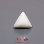 White Coral - 7.2 Carat