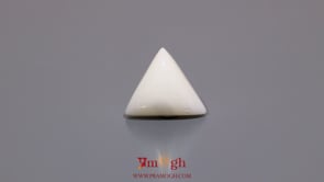 White Coral - 6.95 Carat