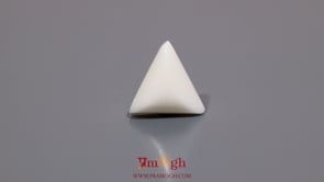 White Coral - 6.7 Carat
