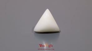 White Coral - 12.35 Carat
