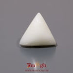 White Coral - 12.35 Carat