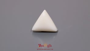White Coral - 8.25 Carat