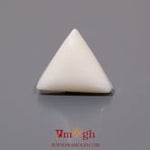 White Coral - 8.25 Carat