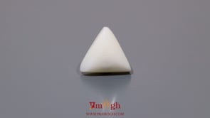 White Coral - 8.55 Carat