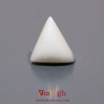 White Coral - 10.65 Carat