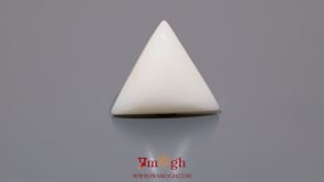White Coral - 13.1 Carat